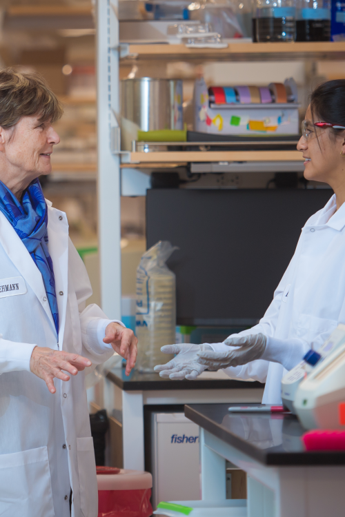 Ruth Lehmann and Anaïs Tsai talk in the lab.