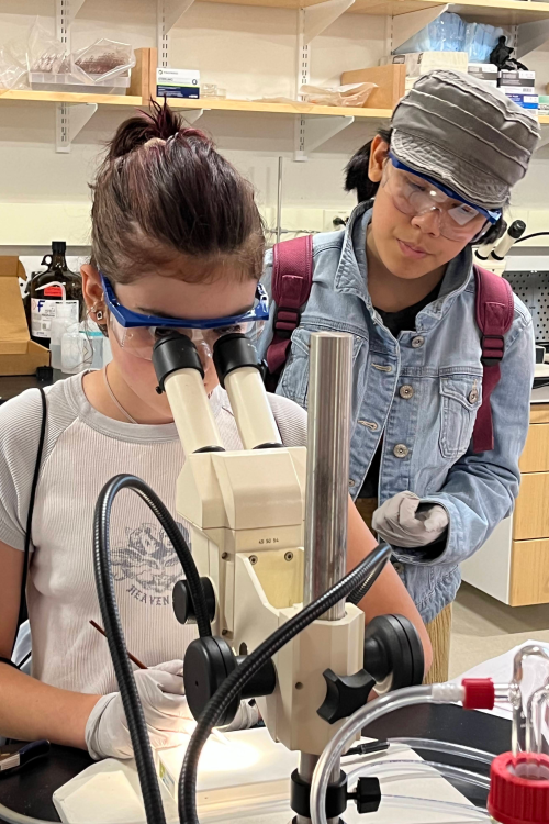 A middle schooler uses a microscope while another looks on