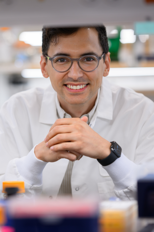 Close up of Sebastian Lourido from across a lab bench, leaning on elbows and smiling at the camera