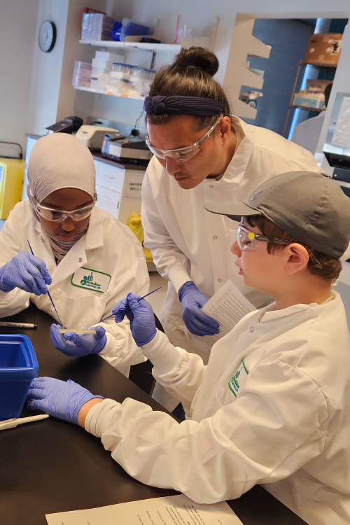 Two students and a teacher wearing lab gear are close together. One student holds a Petri dish, and both students hold tools to interact with it.