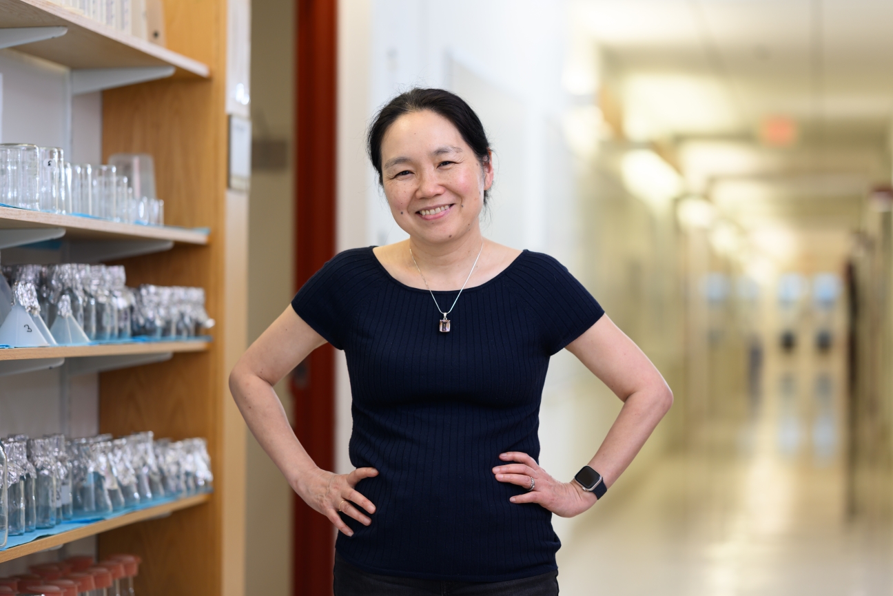 Professional photo of Yukiko Yamashita