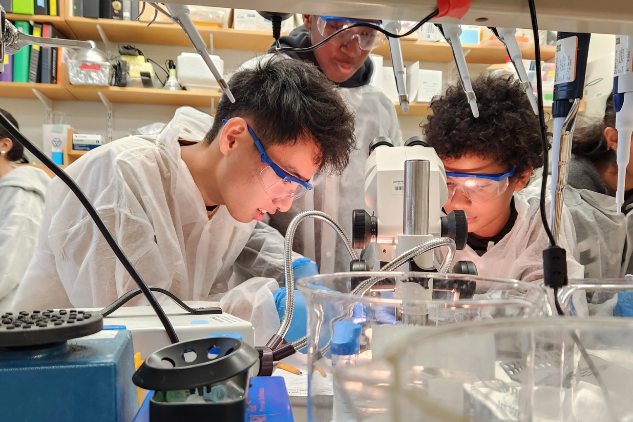 Students in lab gear lean in together to look at a slide under a microscope