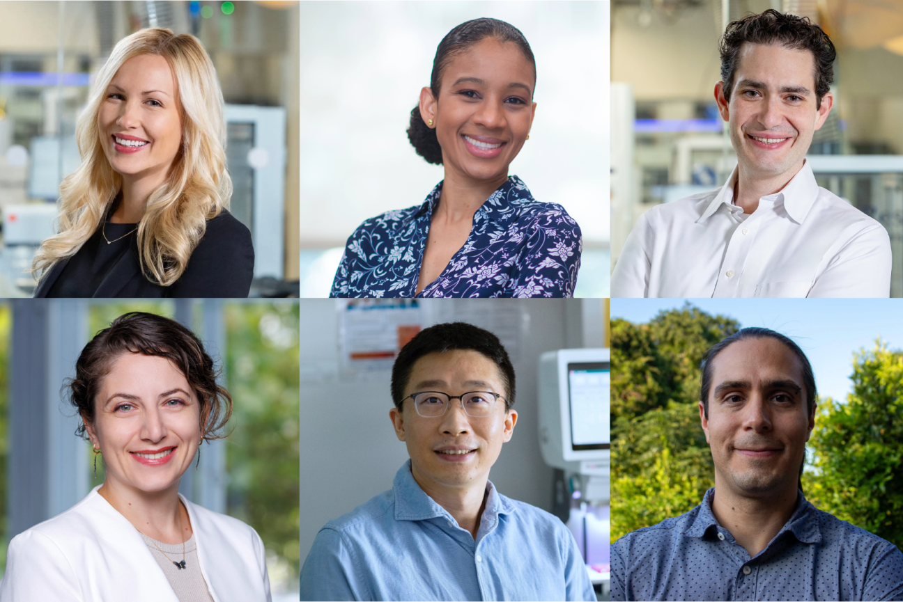 Close ups photos of six researchers