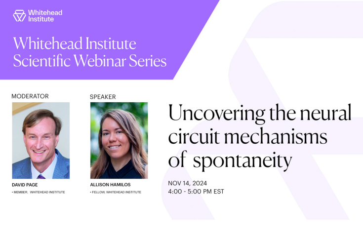 A slide advertising a webinar featuring Allison Hamilos