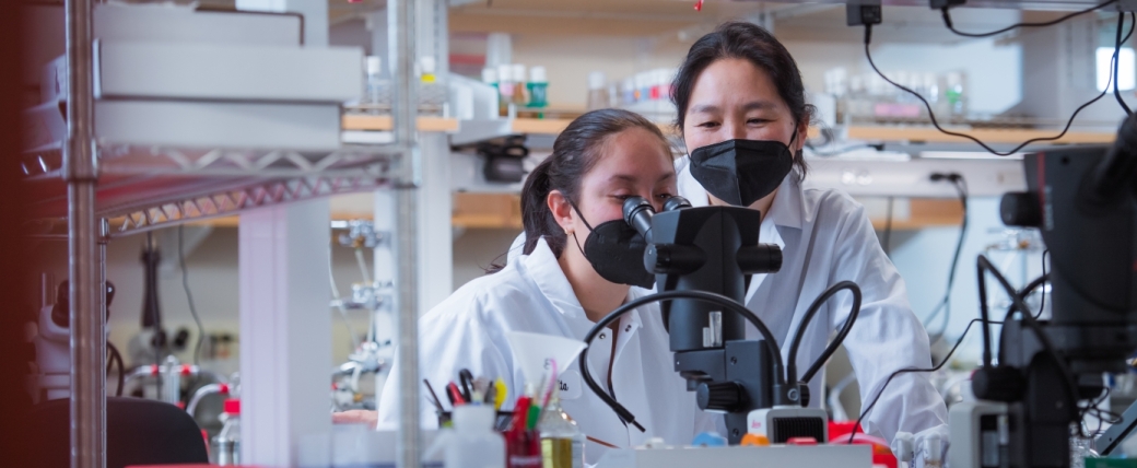 Yukiko Yamashita and Whitehead Institute researcher look into microscope