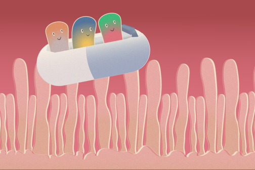Illustration of three microbes riding a raft through the intestines