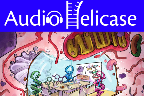 AudioHelicase logo above an illustration of molecules meeting in a boardroom