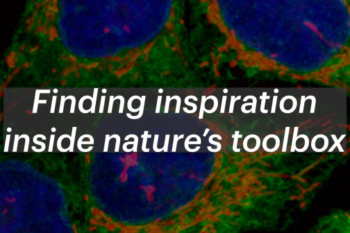 "Finding inspiration inside nature's toolbox" over micrograph of cells