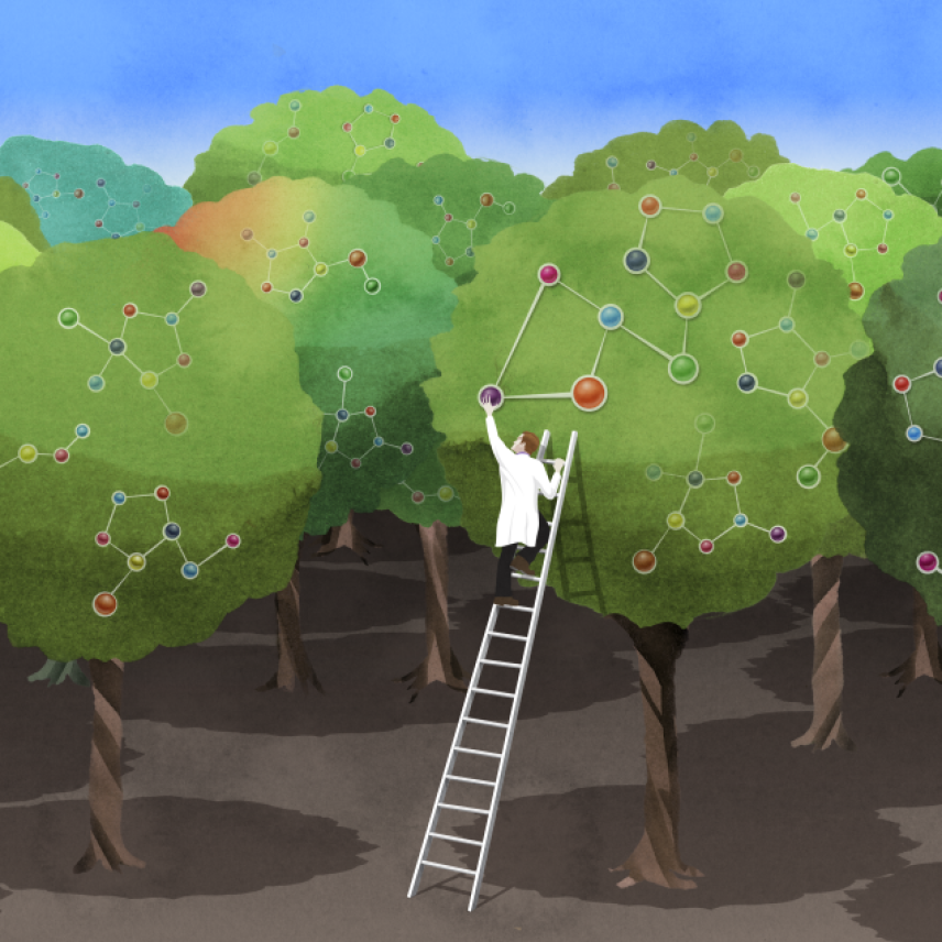 Scientists picks molecules off a tree