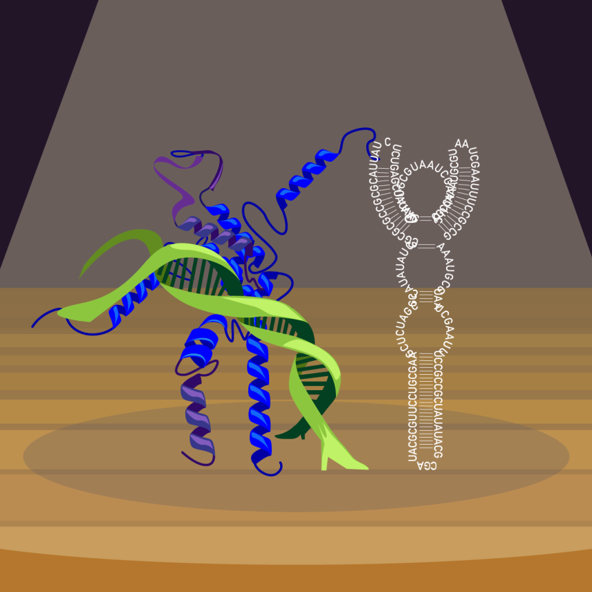 Illustration of personified DNA, RNA, and protein doing the tango in a spotlight