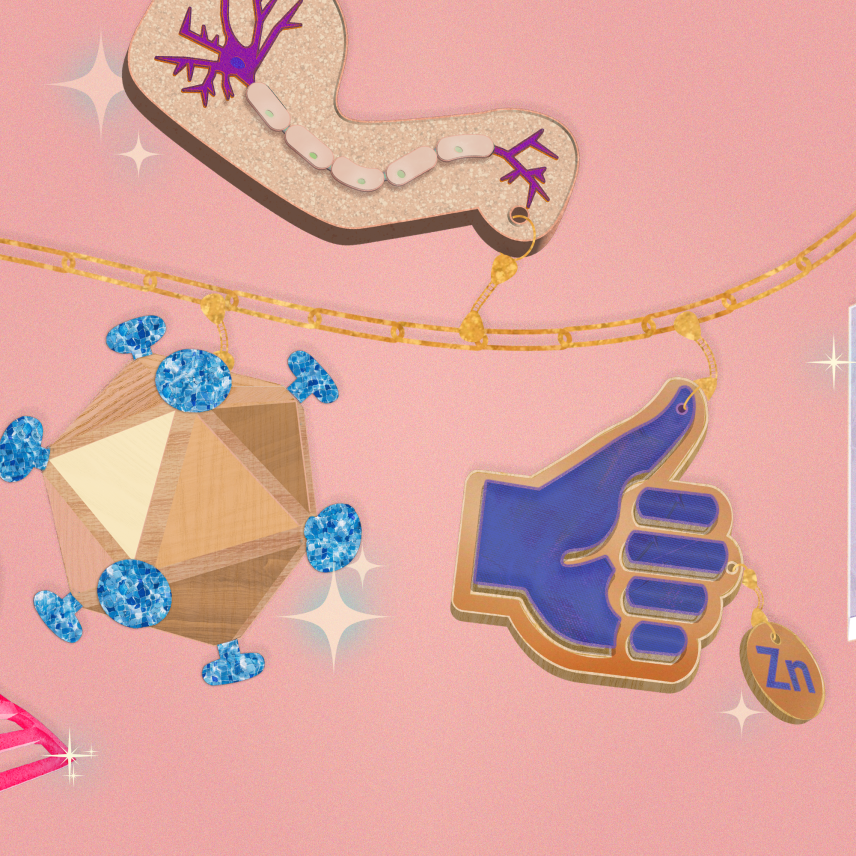 Illustration of a charm bracelet with scientific charms: DNA, viral capsid, neuron, zinc finger, light switch