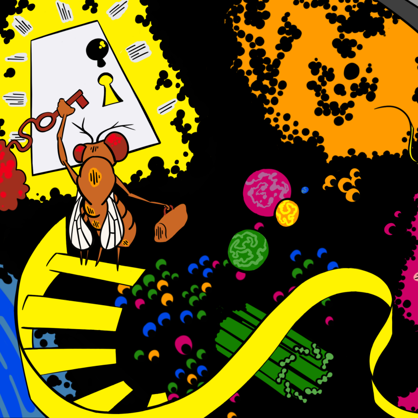 Illustration of a fly holding a key up to a door, surrounded by cell parts