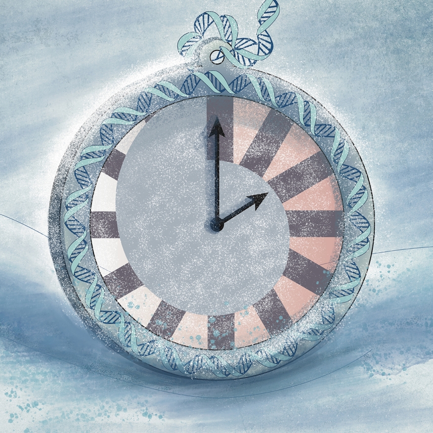 Illustration of a clock in the snow, icing over