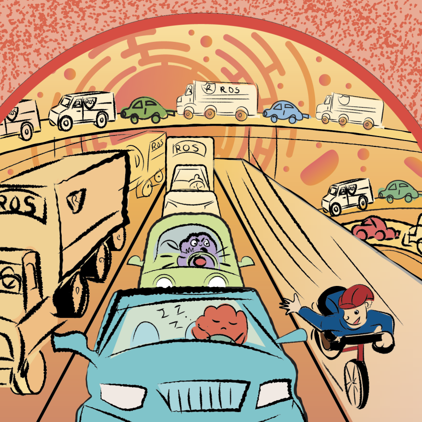 Illustration of proteins stuck in traffic while a biker whizzes by in the bike lane